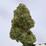 Woodwide - 4x4Z - Ganja Fight Club Winner