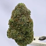 Woodwide - 4x4Z - Ganja Fight Club Winner - Image 2