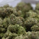 Blueberry Zushi - Image 3