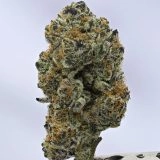 Woodwide - Viper Cookies