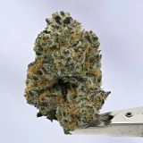 Woodwide - Viper Cookies - Image 2