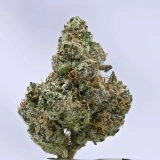 Blueberry Zushi - Image 2