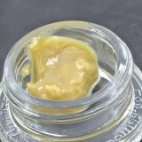 Staefli Farms -  Bonkers - Image 2