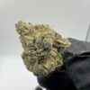 Sour Animal Cookies