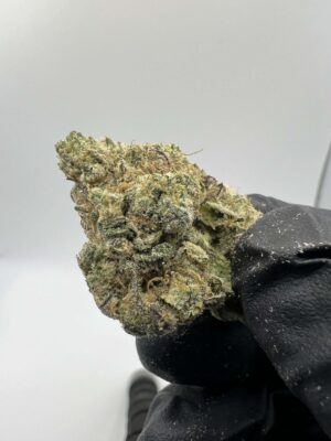 Sour Animal Cookies