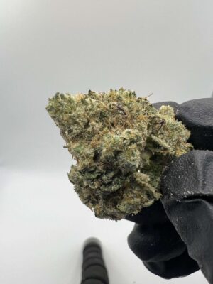 Sour Animal Cookies