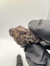 SUPER MUTANT CHERRY - Image 2