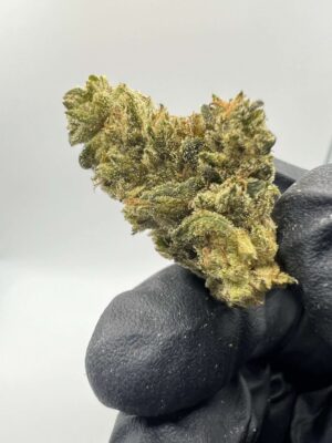 XJ-13