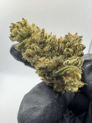 XJ-13