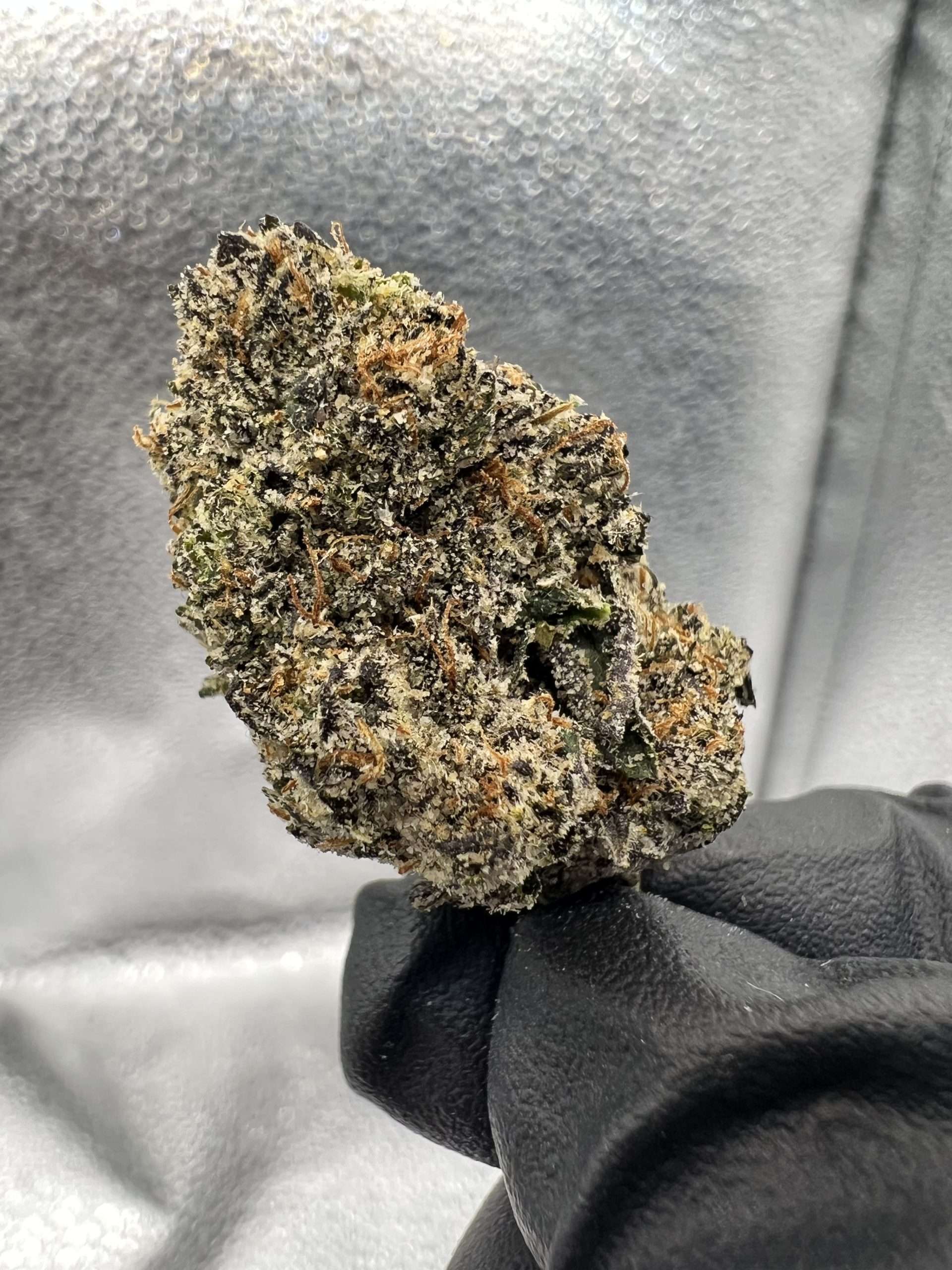 LPZ1 Lemon Popperz π - Image 1