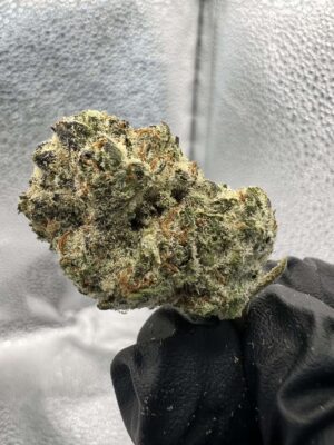 IMG_4105 2 Mount Zeral Kush