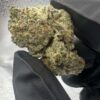 IMG_4119 Mount Zeral Kush