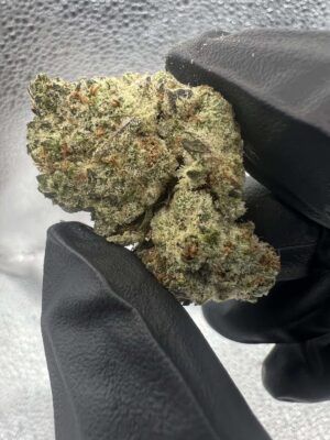 IMG_4119 Mount Zeral Kush
