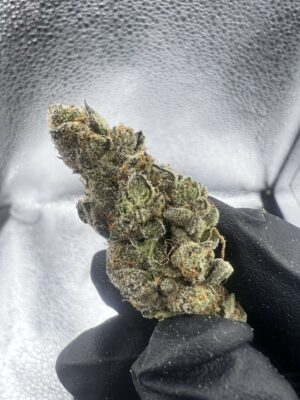 IMG_4338 Pineapple Fruz