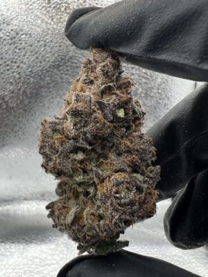 bb3 Block Berry