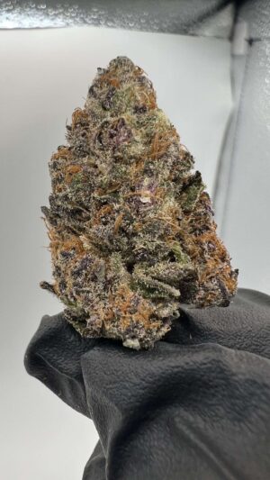 bb2 Block Berry