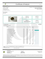 Crunch Berries - Image 3