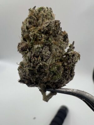 Crunch Berries