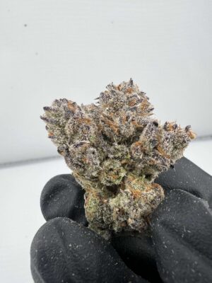 Gucci Berries