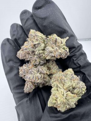 Gucci Berries