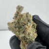 GGB(Grape God Bud)