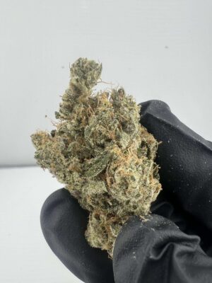 GGB(Grape God Bud)