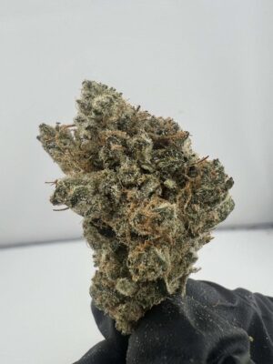 GGB(Grape God Bud)