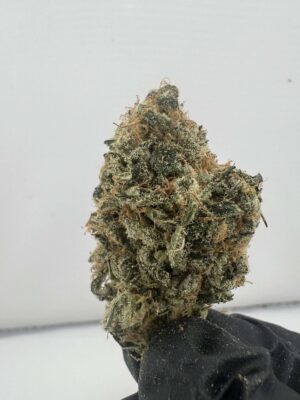 GGB(Grape God Bud)