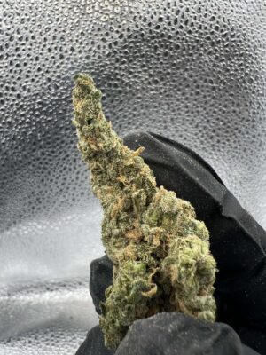 Super Blue Dream