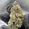 Phat Panda