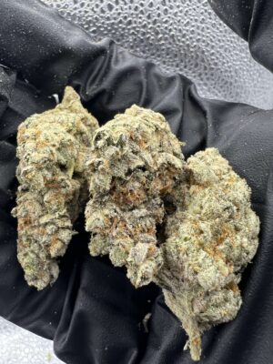 Phat Panda