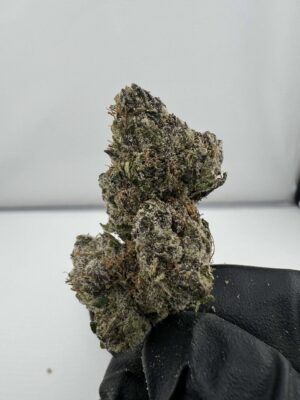 Cherry Popperz