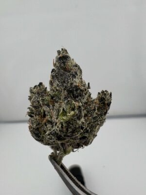 Cherry Popperz