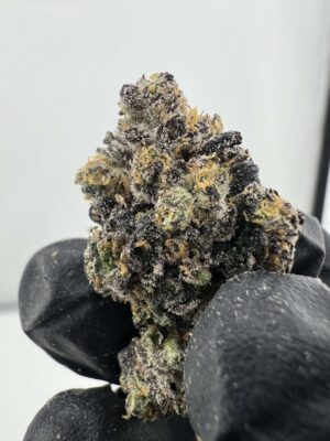 Dark Plasma
