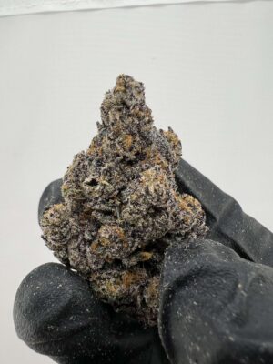 Dark Plasma