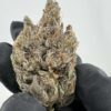 Cashmere Kush- by LAX PACKS