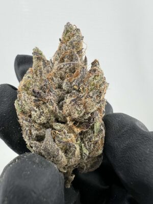 Cashmere Kush- by LAX PACKS