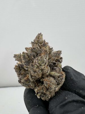 Cashmere Kush- by LAX PACKS