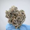 Zit Zat-Small Batch