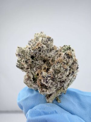 Zit Zat-Small Batch