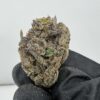 Cashmere Kush- by LAX PACKS