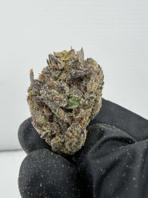 Cashmere Kush- by LAX PACKS