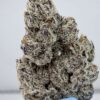 Zit Zat-Small Batch