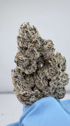 Zit Zat-Small Batch