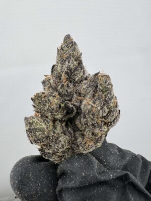 Bubble Gum Gelato - By LAX PACKS