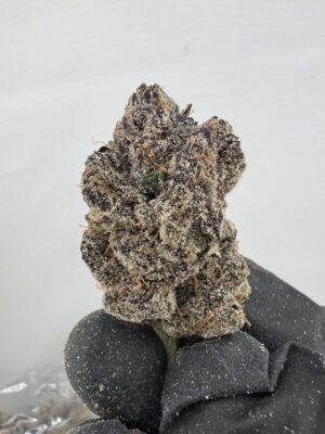 Bubble Gum Gelato - By LAX PACKS