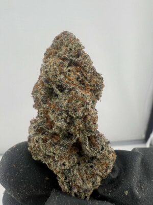 Glitter Bomb x Runtz
