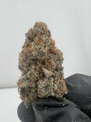 Glitter Bomb x Runtz