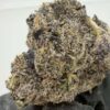 Hubba Hubba x Zebra Ztripez-Small Batch