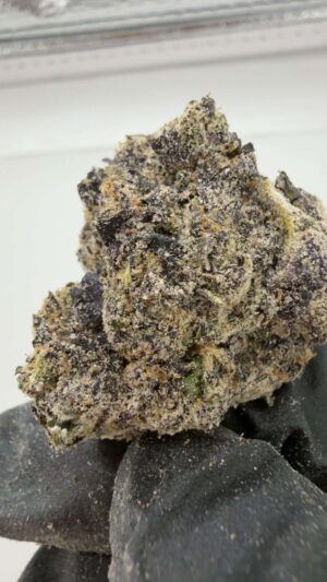 Hubba Hubba x Zebra Ztripez-Small Batch